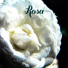 Rosa; Zvočni posnetek (cover)