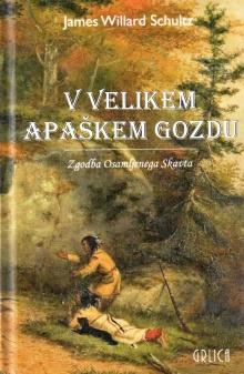 V velikem apaškem gozdu : z... (cover)