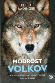 Modrost volkov : kako razmi... (naslovnica)