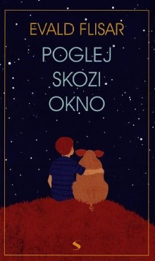 Poglej skozi okno : roman (cover)