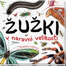 Žužki v naravni velikosti; ... (cover)