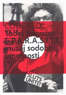 Code:red : Muzej in galerij... (naslovnica)