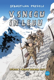 V snegu in ledu (cover)