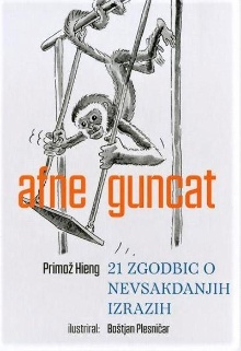 Afne guncat : 21 zgodbic o ... (cover)