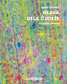 Glava dela čudeže; Elektron... (cover)