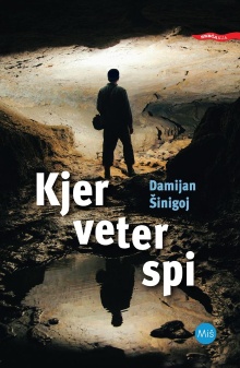 Kjer veter spi (cover)