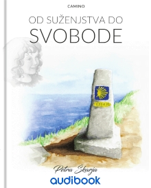 Camino; Elektronski vir : o... (naslovnica)