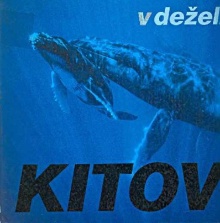 V deželi kitov; Das Wale-Ki... (naslovnica)