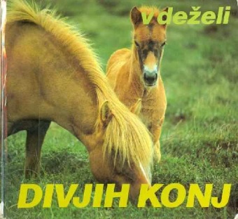 V deželi divjih konj; Das P... (naslovnica)