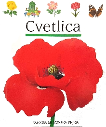 Cvetlica; La fleur (naslovnica)