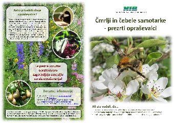 Čmrlji in čebele samotarke ... (naslovnica)