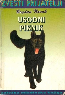 Usodni piknik (cover)