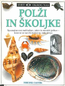 Polži in školjke; Shell (naslovnica)