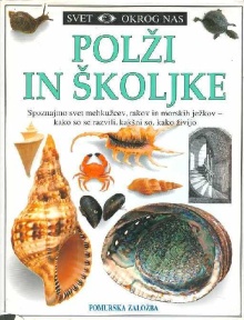 Polži in školjke; Shell (cover)