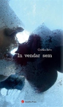 In vendar sem (cover)