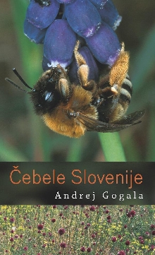 Čebele Slovenije; Elektrons... (naslovnica)