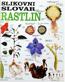 Slikovni slovar rastlin; Th... (naslovnica)