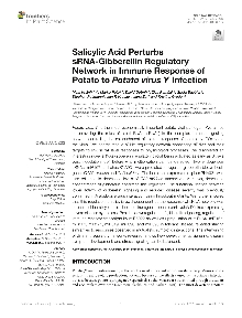 Salicylic acid perturbs sRN... (cover)