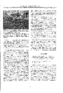 Biodiverziteta in varstvo s... (cover)