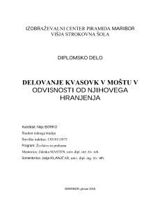 Delovanje kvasovk v moštu v... (naslovnica)