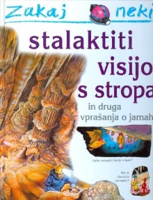 Zakaj neki stalaktiti visij... (cover)