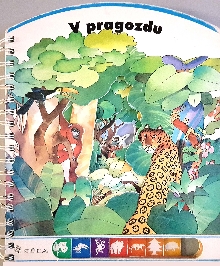 V pragozdu; Dentro la foresta (cover)