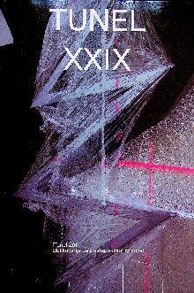 Tunel XXIX : tunel 29 : obl... (cover)