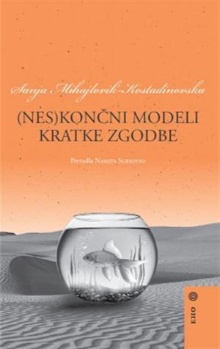 (Nes)končni modeli kratke z... (cover)