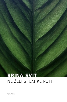 Ne želi si lahke poti (cover)