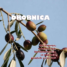Drobnica; Elektronski vir :... (cover)