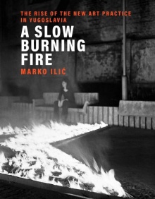 A slow burning fire : the r... (cover)