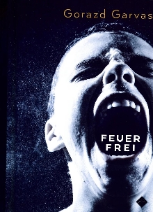 Feuer frei (cover)