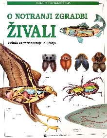 O notranji zgradbi živali :... (cover)