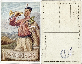 Sokolski glas; Slikovno gra... (naslovnica)
