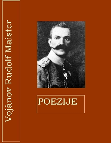 Poezije; Elektronski vir (cover)