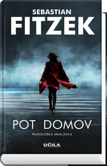 Pot domov; Der Heimweg (cover)