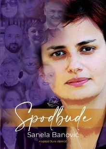 Spodbude (cover)