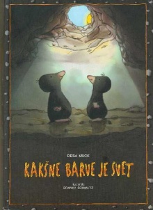 Kakšne barve je svet (cover)