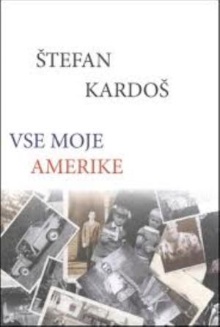 Vse moje Amerike (cover)