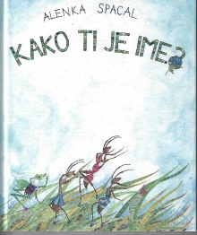 Kako ti je ime? (cover)