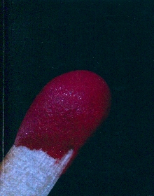 Doomsday.Седми печат (naslovna strana)